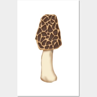 Morel Mushroom Posters and Art